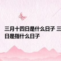 三月十四日是什么日子 三月十四日是指什么日子