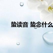 蛰读音 蛰念什么