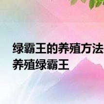 绿霸王的养殖方法 如何养殖绿霸王