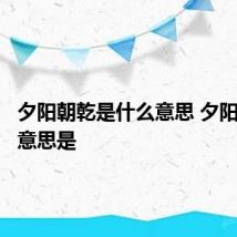 夕阳朝乾是什么意思 夕阳朝乾的意思是