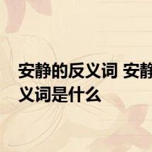 安静的反义词 安静的反义词是什么
