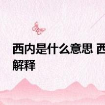 西内是什么意思 西内的解释