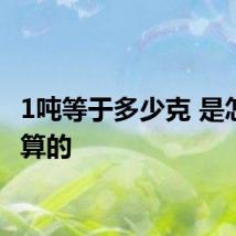 1吨等于多少克 是怎么换算的