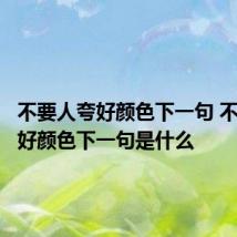 不要人夸好颜色下一句 不要人夸好颜色下一句是什么