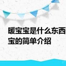 暖宝宝是什么东西 暖宝宝的简单介绍