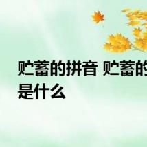 贮蓄的拼音 贮蓄的拼音是什么
