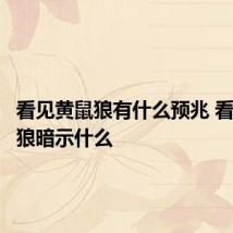 看见黄鼠狼有什么预兆 看见黄鼠狼暗示什么