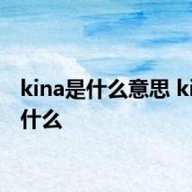 kina是什么意思 kina是什么