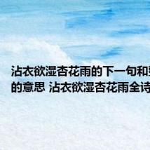 沾衣欲湿杏花雨的下一句和整首诗的意思 沾衣欲湿杏花雨全诗及译文