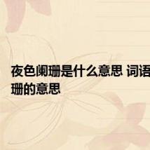 夜色阑珊是什么意思 词语夜色阑珊的意思