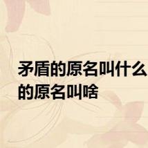 矛盾的原名叫什么 矛盾的原名叫啥