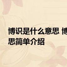博识是什么意思 博识意思简单介绍