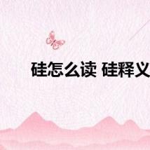 硅怎么读 硅释义