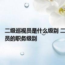 二级巡视员是什么级别 二级巡视员的职务级别