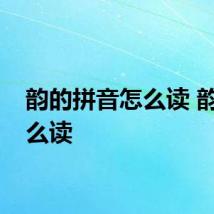 韵的拼音怎么读 韵字怎么读