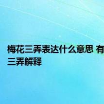 梅花三弄表达什么意思 有关梅花三弄解释