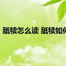 舐犊怎么读 舐犊如何读