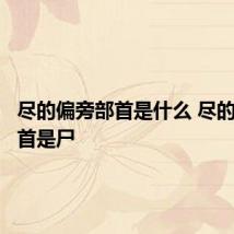尽的偏旁部首是什么 尽的偏旁部首是尸