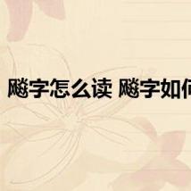 飚字怎么读 飚字如何读