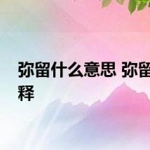 弥留什么意思 弥留的解释