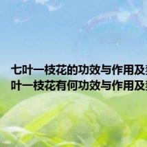 七叶一枝花的功效与作用及禁忌 七叶一枝花有何功效与作用及禁忌