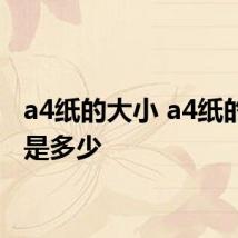 a4纸的大小 a4纸的大小是多少