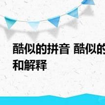 酷似的拼音 酷似的读音和解释