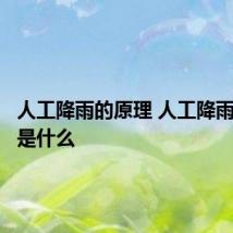 人工降雨的原理 人工降雨的原理是什么