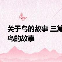 关于鸟的故事 三篇关于鸟的故事