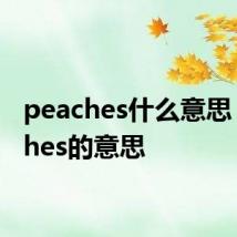 peaches什么意思 peaches的意思