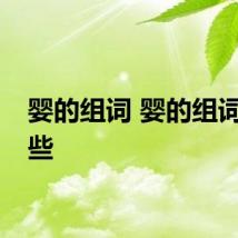 婴的组词 婴的组词有哪些