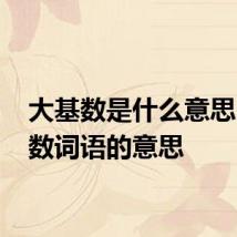 大基数是什么意思 大基数词语的意思
