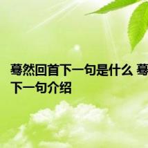 蓦然回首下一句是什么 蓦然回首下一句介绍