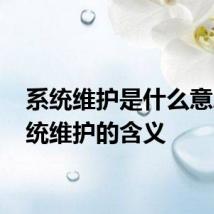 系统维护是什么意思 系统维护的含义