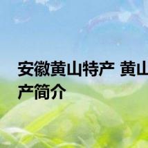 安徽黄山特产 黄山的特产简介