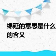 绵延的意思是什么 绵延的含义