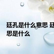 廷孔是什么意思 廷孔意思是什么