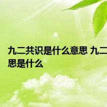 九二共识是什么意思 九二共识意思是什么