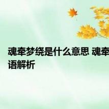 魂牵梦绕是什么意思 魂牵梦绕词语解析
