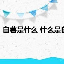 白薯是什么 什么是白薯