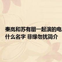 秦岚和苏有朋一起演的电视剧叫什么名字 非缘勿扰简介