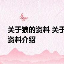 关于狼的资料 关于狼的资料介绍