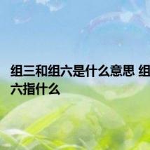 组三和组六是什么意思 组三和组六指什么