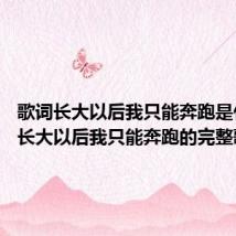 歌词长大以后我只能奔跑是什么歌 长大以后我只能奔跑的完整歌词