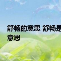舒畅的意思 舒畅是什么意思