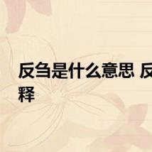 反刍是什么意思 反刍解释