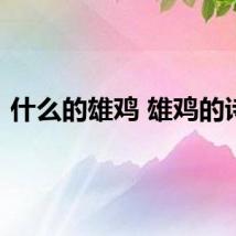什么的雄鸡 雄鸡的诗词