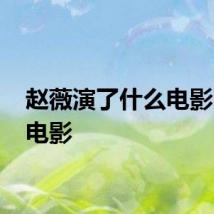 赵薇演了什么电影 十大电影