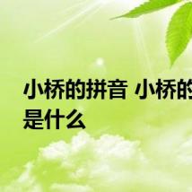 小桥的拼音 小桥的拼音是什么