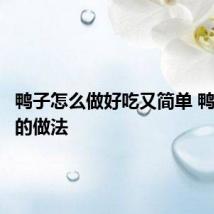鸭子怎么做好吃又简单 鸭子好吃的做法